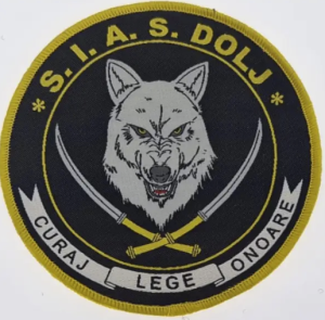 DACIC WOLF ROUND WOVEN EMBLEM SIAS DOLJ